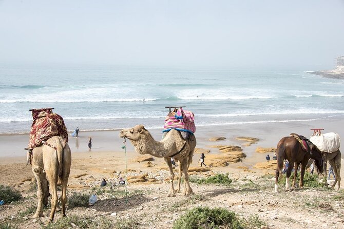 7 Nights Surf and Yoga Package in Morocco - Moroccan food all day: the real comfort factor