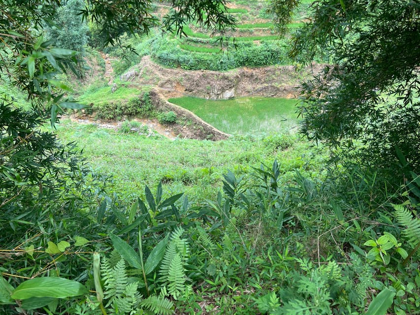 AUTHENIC 2D1N Trek & Bungalow Retreat with Dinh Hmong Family - Price and value at $48: what’s included (and why it feels like a fair deal)