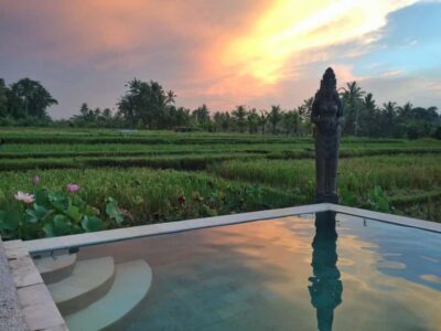 Bali: 7 Day Solo Traveler’s Yoga Retreat In Ubud - Your Base at Firefly Retreat: Infinity Pool Views and Real Quiet