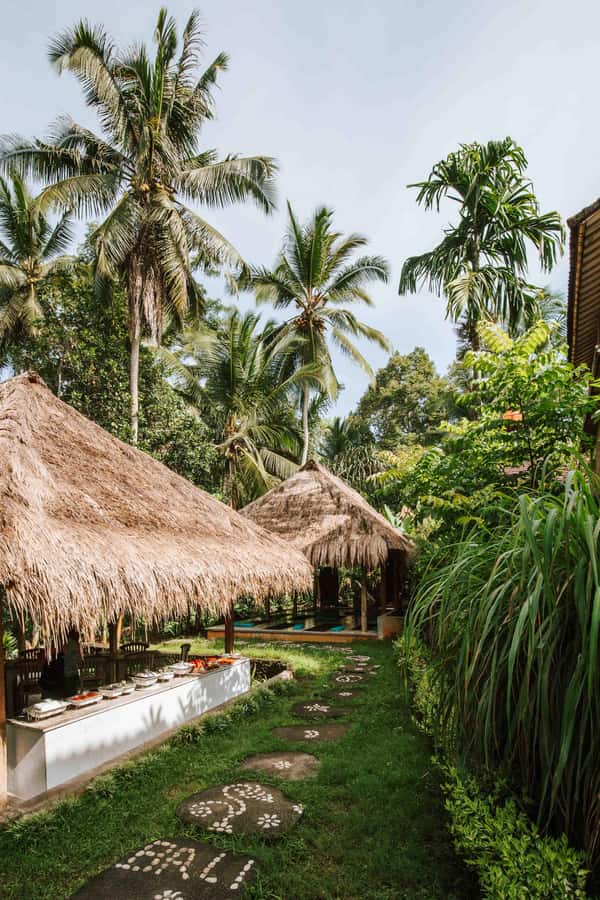 Bali: 7 Day Solo Traveler’s Yoga Retreat In Ubud - Day 1 (Sunday): Arrival, Unpack, Then Your First Friendly Intro