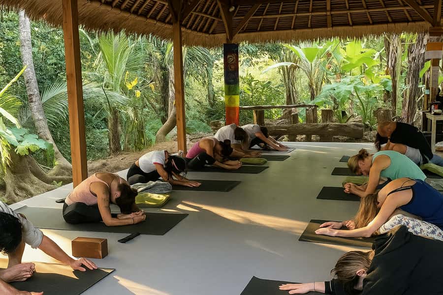 Bali: 7 Day Solo Traveler’s Yoga Retreat In Ubud - Day 2 (Monday): Sunrise Yoga, Medicine Walk, and Canang Offerings