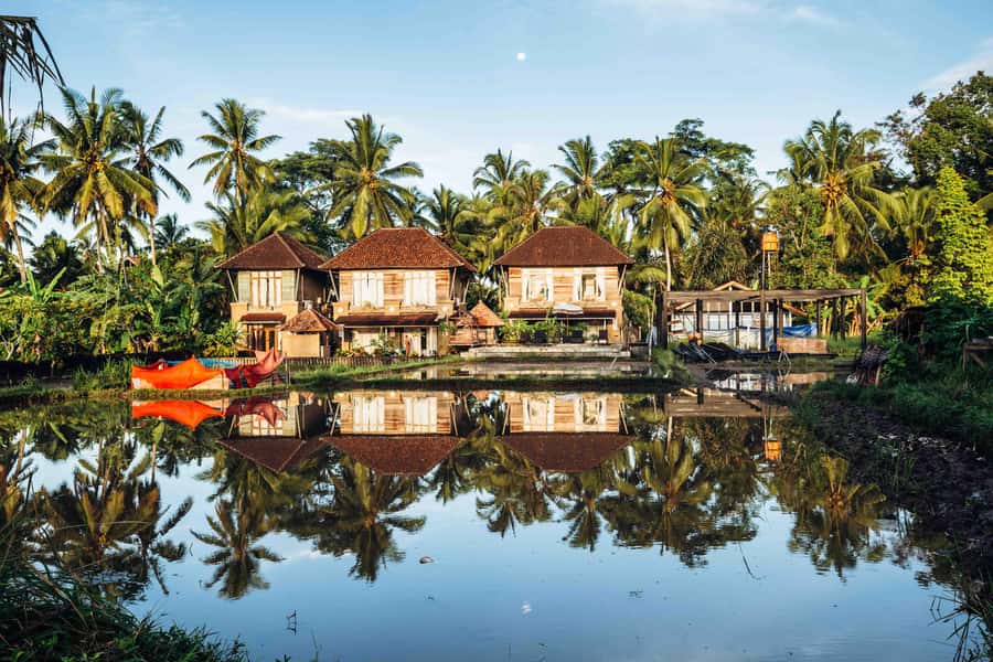 Bali: 7 Day Solo Traveler’s Yoga Retreat In Ubud - Day 4 (Wednesday): Cooking Class and Jamu Making
