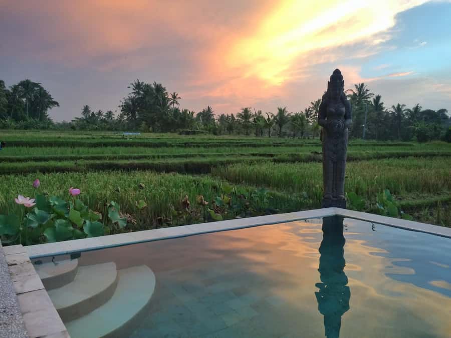 Bali: 7 Day Solo Traveler’s Yoga Retreat In Ubud - Your Base at Firefly Retreat: Infinity Pool Views and Real Quiet