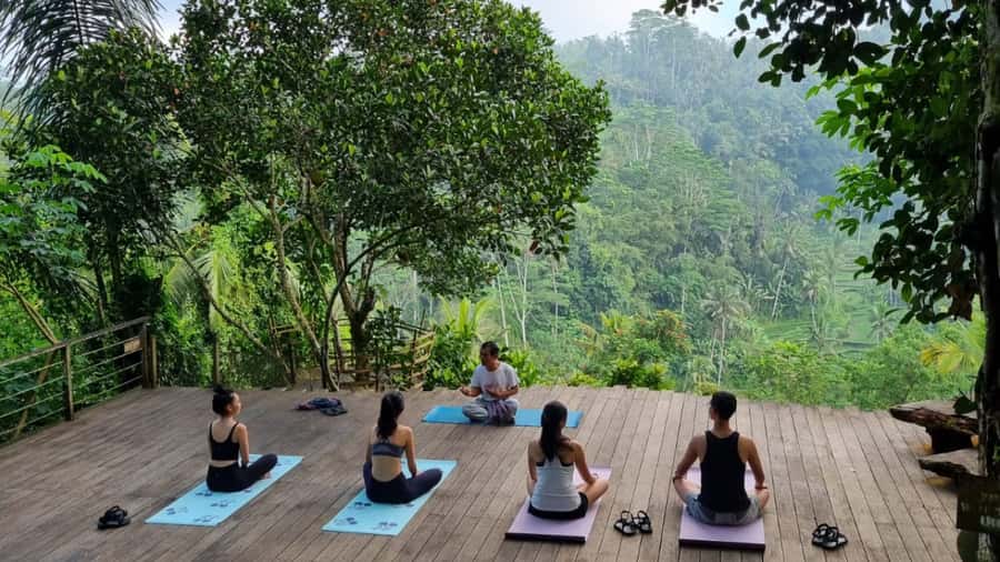 Bali Bliss: Yoga, Floating Breakfast and Rice terrace walk - The Rice Terrace Walk: Narrow Paths, Bamboo Bridges, and Big Views