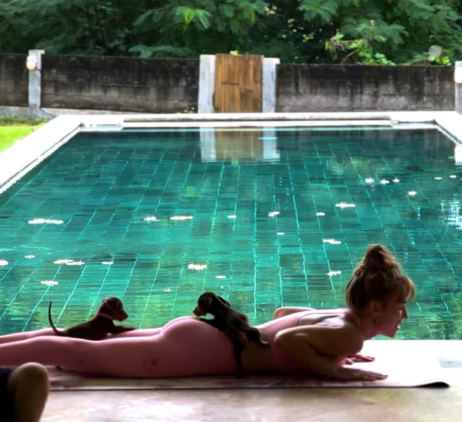 Bali: Canggu & Uluwatu Puppy Yoga Class & Refreshing Drinks - Key things to know before you go