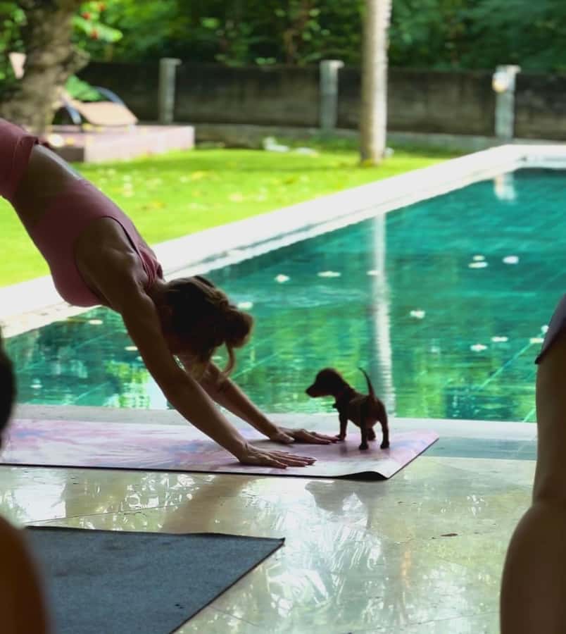 Bali: Canggu & Uluwatu Puppy Yoga Class & Refreshing Drinks - Included mat and drinks: small extras that raise the value