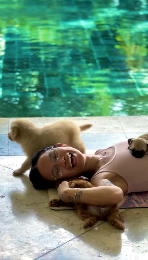 Bali: Canggu & Uluwatu Puppy Yoga Class & Refreshing Drinks - The ethical part: rescue puppies, donations, and why rules exist