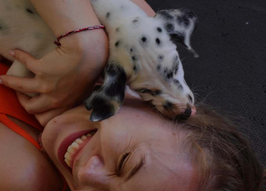 Bali: Canggu & Uluwatu Puppy Yoga Class & Refreshing Drinks - Practical tips so your session goes smoothly