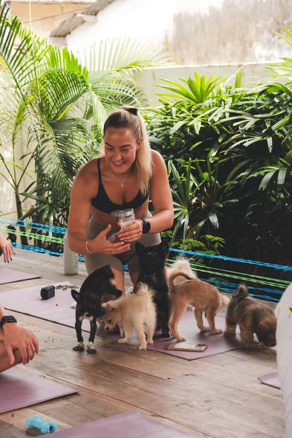 Bali: Puppy Yoga in Canggu – #1 Thing to Do - Where You Practice in Canggu (and What the Outdoors Means)