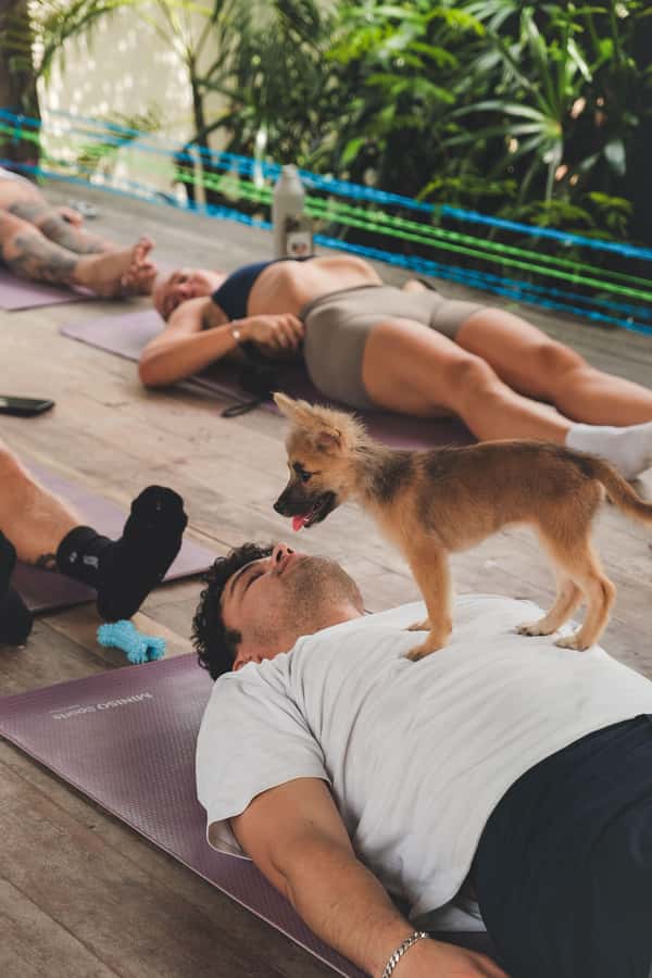 Bali: Puppy Yoga in Canggu – #1 Thing to Do - Who This Is Perfect For (and Who Should Skip It)