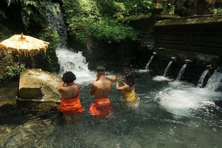 Bali: Ubud Spiritual Cleansing and Meditation Healing Tour - Morning rice-field walking meditation in Ubud (why it sets the tone)