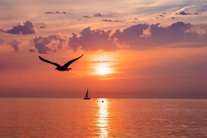 Beach Yoga Emotion Sitges (Barcelona) - Pricing at $14: Is It Actually Good Value?