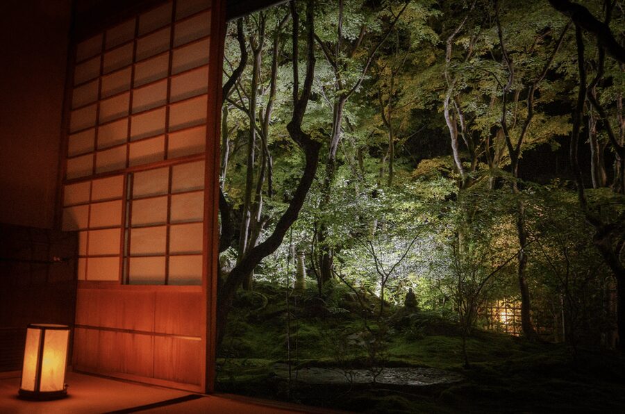 Candlelit Zen: Evening Meditation at Kyoto’s Secret Temple - Tea Ceremony and a Monk Discussion: Turning Quiet Into Meaning