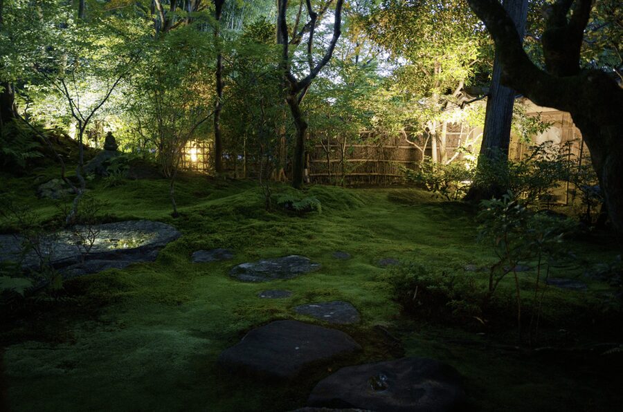 Candlelit Zen: Evening Meditation at Kyoto’s Secret Temple - Photography, Temple Etiquette, and How Not to Break the Silence