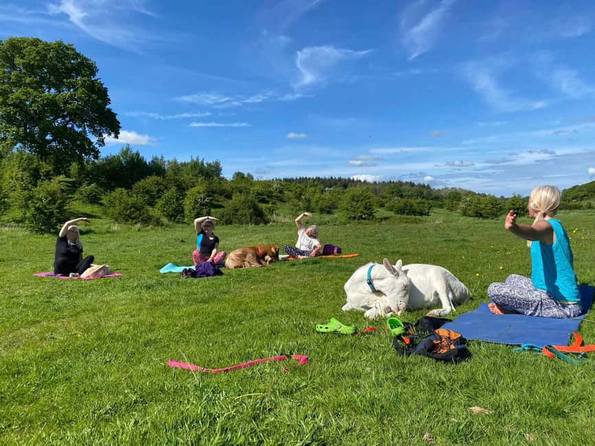 Canterbury: Yoga with Goats and Sheep - Key things you’ll remember