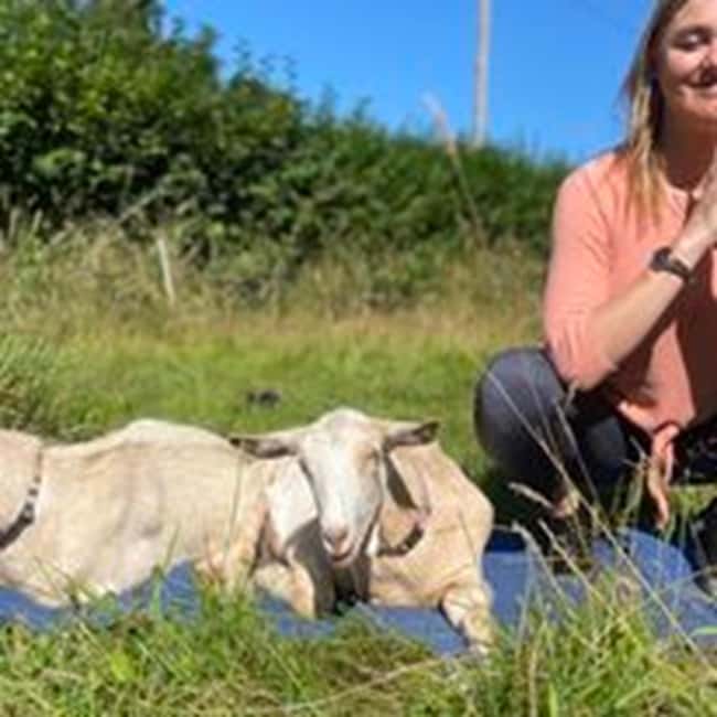 Canterbury: Yoga with Goats and Sheep - Hawes Farm near Canterbury: yoga in a real animal sanctuary