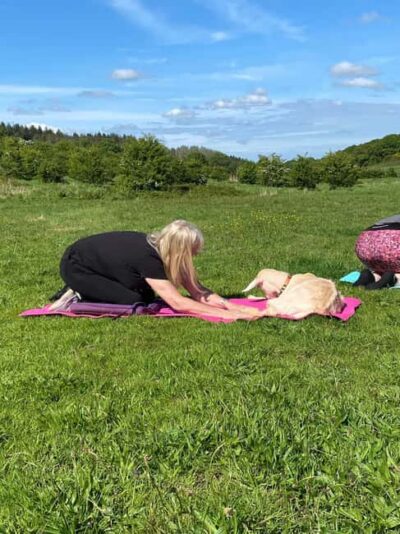 Canterbury: Yoga with Goats and Sheep - What a 75-minute session looks like (and why it works)