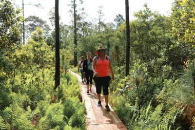 Central Florida Guided Nature Walk and Private Yoga Class - The 3-Mile Loop Through Florida Habitats (What You’ll See)