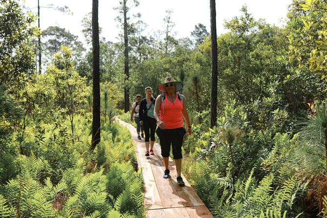 Central Florida Guided Nature Walk and Private Yoga Class - The 3-Mile Loop Through Florida Habitats (What You’ll See)