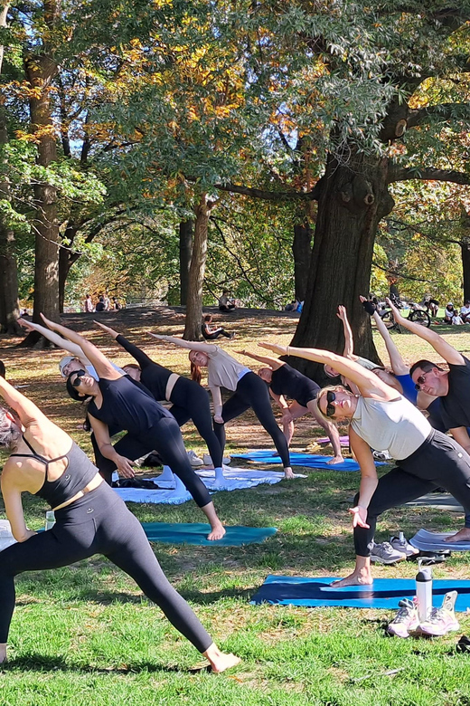 Central Park, New York: Yoga Classes in the park since 2012 - Key things to know before you go