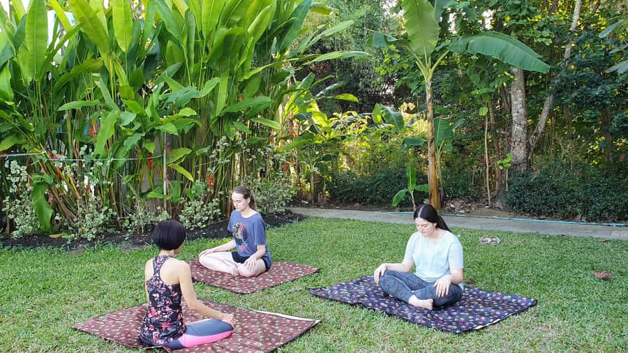 Chiang Mai: 3 Day Meditation, Yoga & Cultural Retreat - A quiet Chiang Mai reset in the rice-field countryside