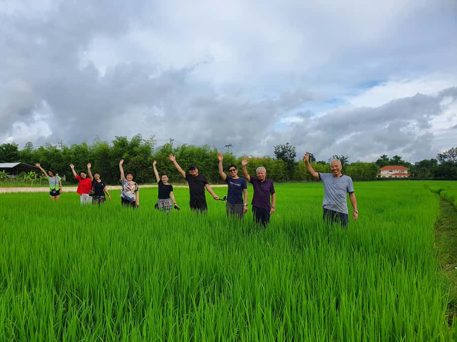 Chiang Mai: Full-Day Yoga & Meditation Experience with Lunch - Key Things That Make This Retreat Worth Your Day