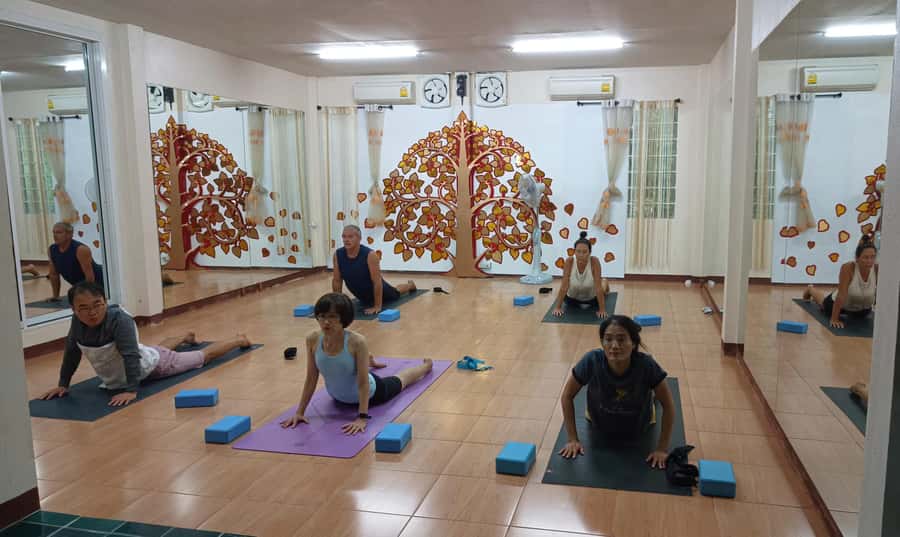 Chiang Mai: Full-Day Yoga & Meditation Experience with Lunch - Logistics: Getting There Without Pickup and Drop-Off