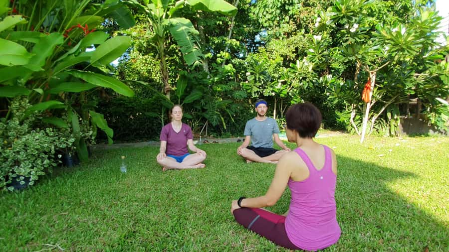 Chiang Mai: Full-Day Yoga & Meditation Experience with Lunch - A Calm Chiang Mai Day Starts at Flow Yoga Chiang Mai