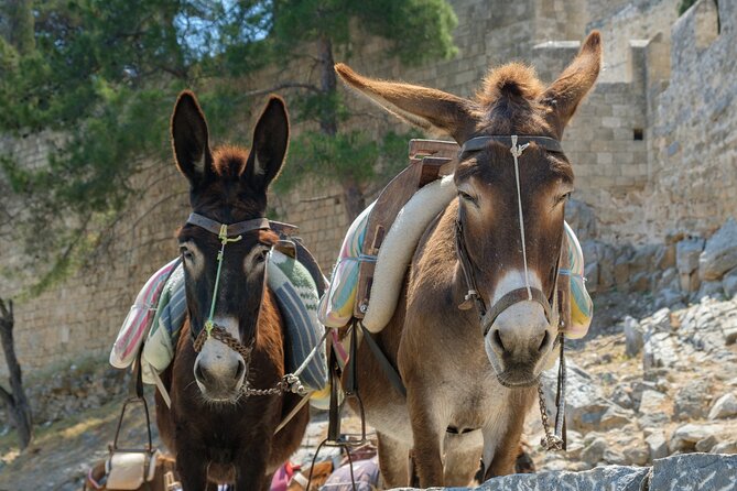 Corfu Cruise-Friendly Tour with a Beach Retreat or Boat Cave Ride - The optional boat cave ride: what you pay for (and what you give up)