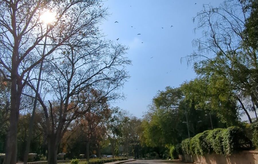 Delhi: Yoga in Lodhi Garden - Who This Is Best For (And When It Might Not Fit)