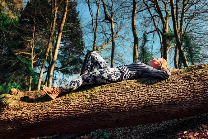 Half-day Forest Bathing and Yoga in Brighton's Woodlands - Key Highlights You’ll Feel in Your Body