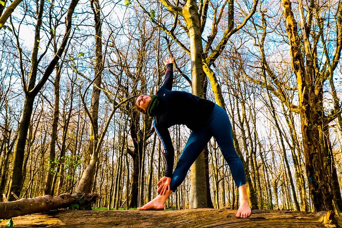 Half-day Forest Bathing and Yoga in Brighton's Woodlands - The Actual Movement: Q Gong, Feel-Good Yoga, and Helpful Props