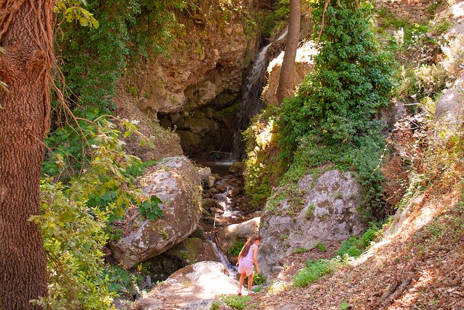 Half-Day Private Tour & Picnic in Real Cretan Countryside Retreat - The food and drinks you actually get (not vague promises)
