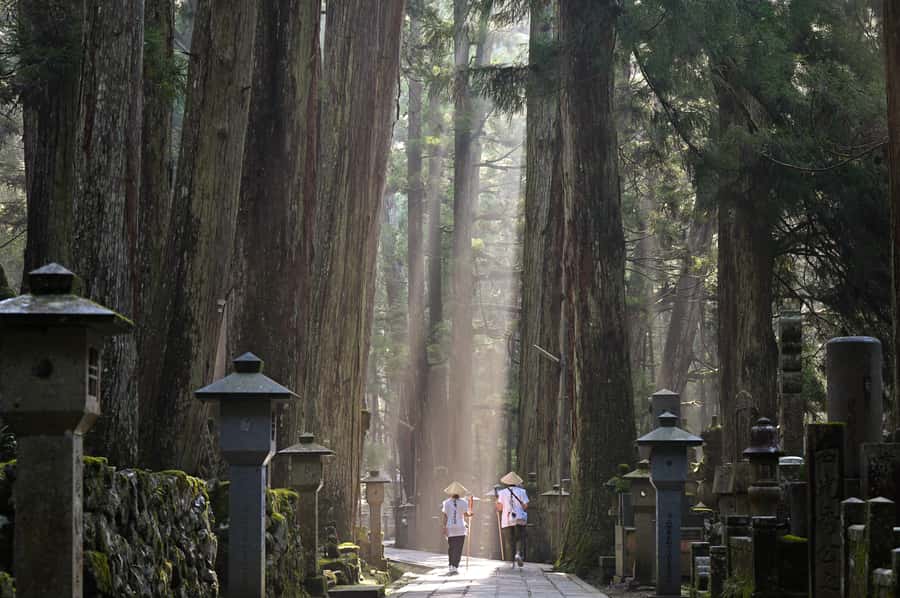 Koyasan: A Mysterious Meditation Journey - Entering through the Daimon Gate: your first “this is serious” moment