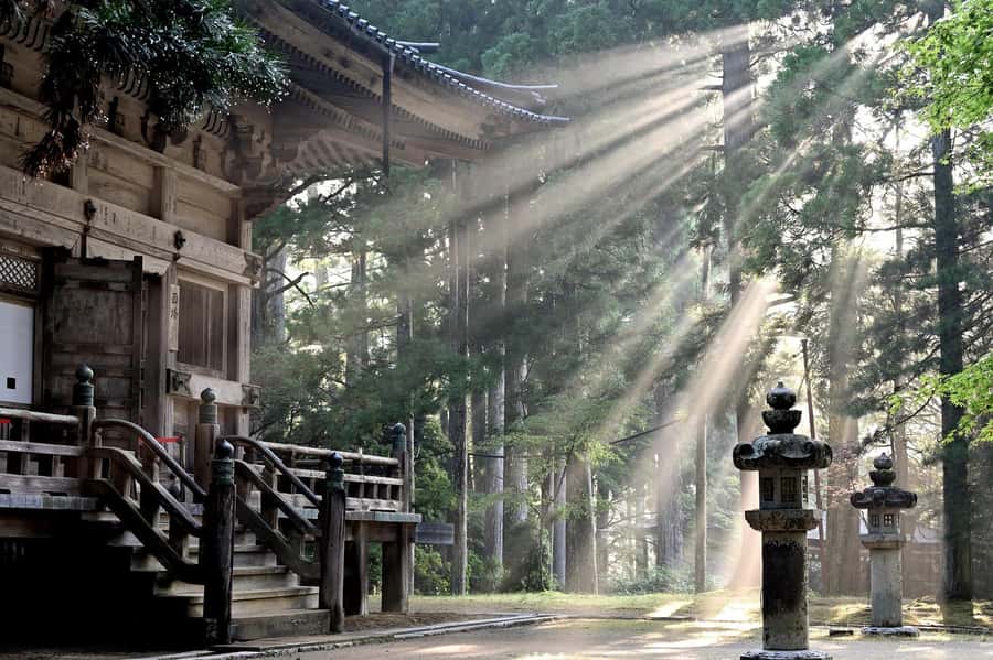 Koyasan: A Mysterious Meditation Journey - Choosing your route: Kongobu-ji or Okuno-in (then you add Danjo Garan)