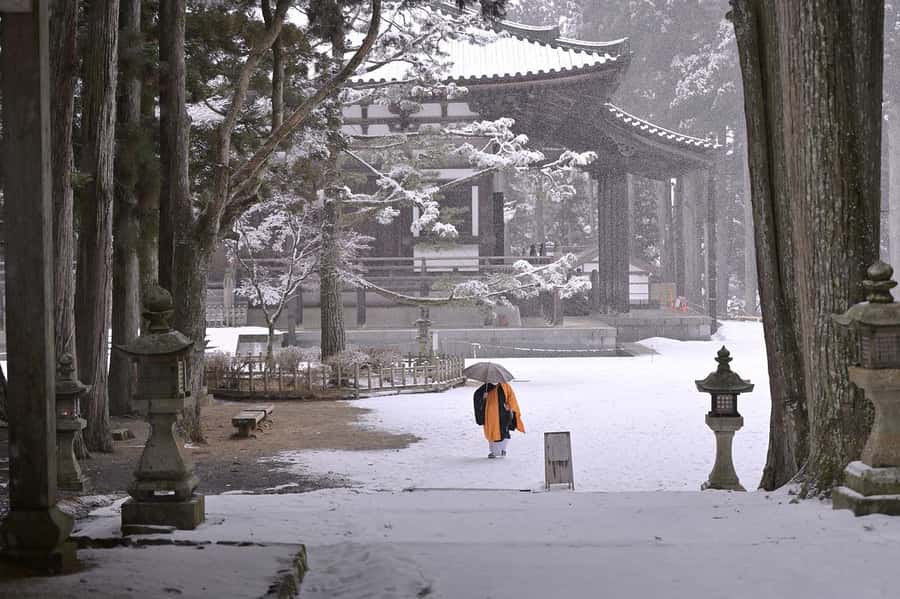 Koyasan: A Mysterious Meditation Journey - Okuno-in and Kobo Daishi: the graveyard-pilgrimage feeling done right