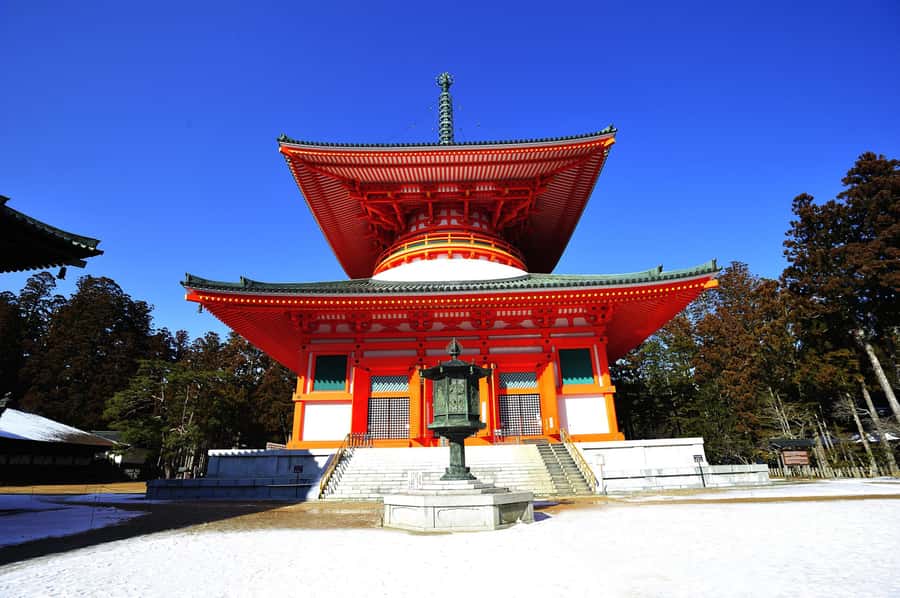 Koyasan: A Mysterious Meditation Journey - Optional monk-led meditation: what the live temple training changes