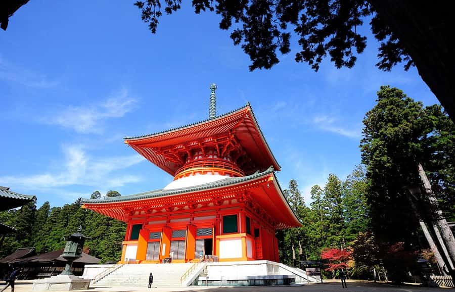 Koyasan: A Mysterious Meditation Journey - Price and value: what $539 per group actually buys you