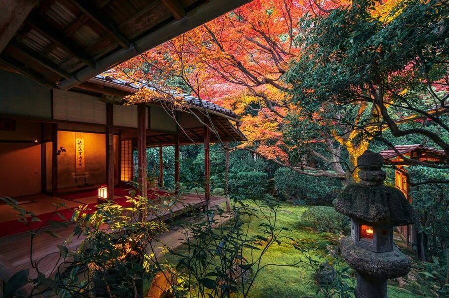 Kyoto: Nighttime Zen Meditation and Matcha Tea Experience - Key Things You’ll Remember