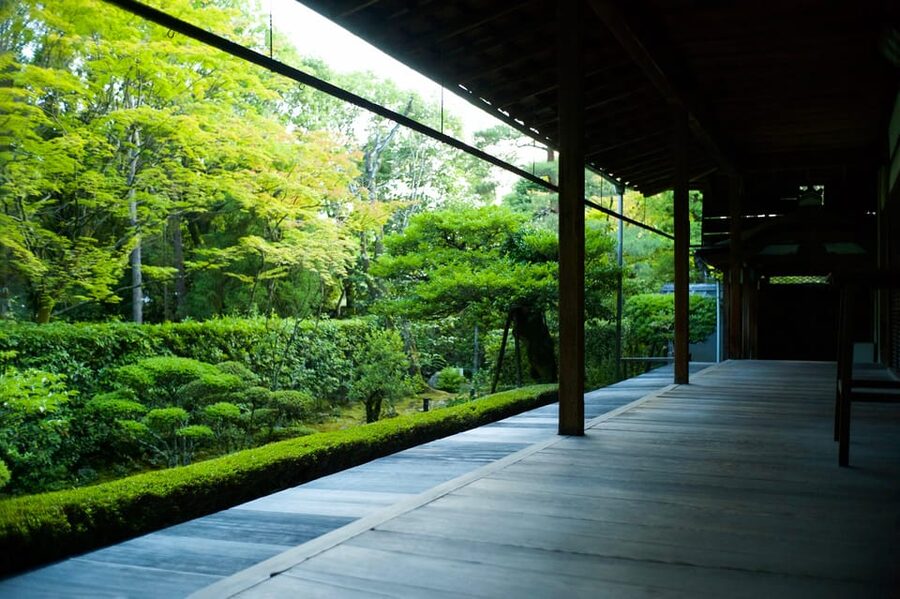 Kyoto: Nighttime Zen Meditation and Matcha Tea Experience - A Night at Keishunin Temple: Why This Feels Different Than Daytime Kyoto