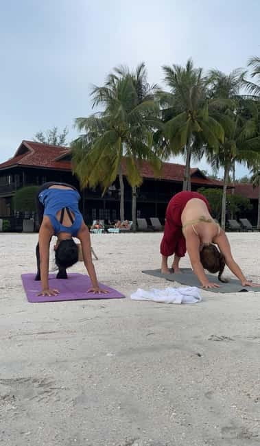 Langkawi: Enchanting Sunset Beach Yoga at Cenang Beach - Instructor Profile: The Value of Science-Minded Coaching