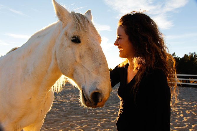 Leadership & Mindfulness Retreat with Horses - Individual & Group - Key Things That Make This Horse Session Worth Your Time