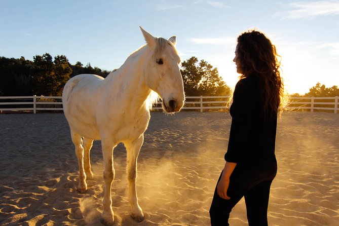 Leadership & Mindfulness Retreat with Horses - Individual & Group - Where It Happens: A Ranch Near Boulder With Both Indoor and Outdoor Space