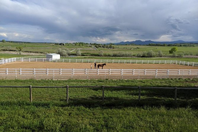 Leadership & Mindfulness Retreat with Horses - Individual & Group - Who This Works Best For (Families, Individuals, and Teams)