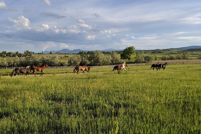 Leadership & Mindfulness Retreat with Horses - Individual & Group - What the Facilitator Format Looks Like (And How Small Groups Help)