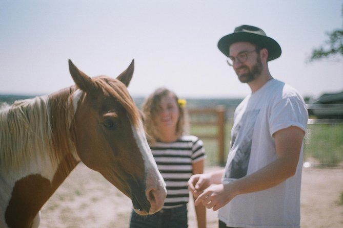 Leadership & Mindfulness Retreat with Horses - Individual & Group - Value and Pricing: What You’re Really Paying For