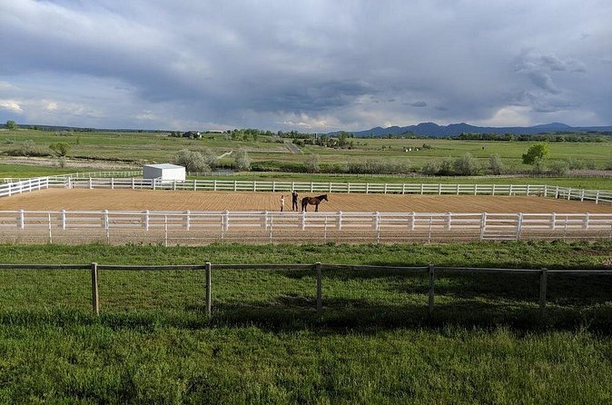 Leadership & Mindfulness Retreat with Horses - Individual & Group - Practical Tips Before You Go