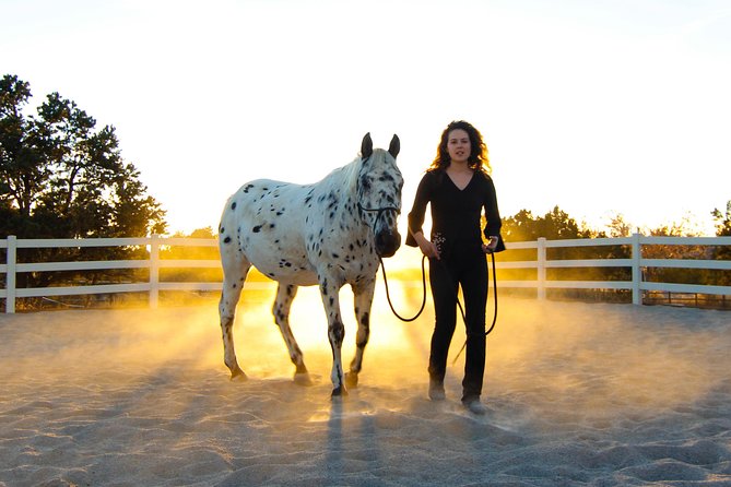 Leadership & Mindfulness Retreat with Horses - Individual & Group - Your Likely 1.5-Hour Flow: From Welcome to Guided Reflection