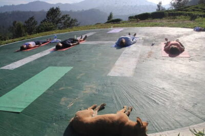 Little Adams peak Sunrise Hike and Yoga Lesson . - Walking to the views: trekking guides, bird watching, and the Ravana stop