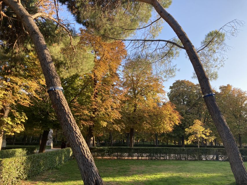 Madrid: Flow Yoga class in Retiro Park - How to plan your day around this yoga slot